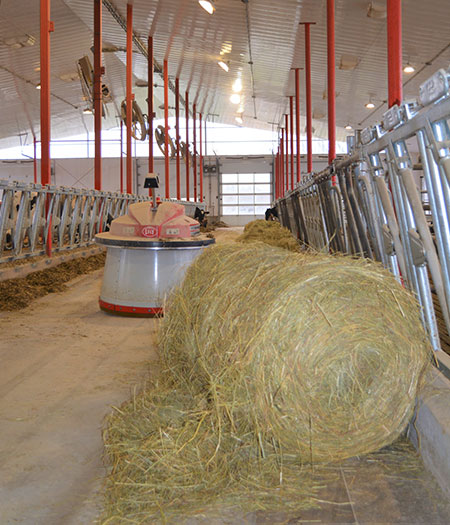 Lijonor 2012 Farm