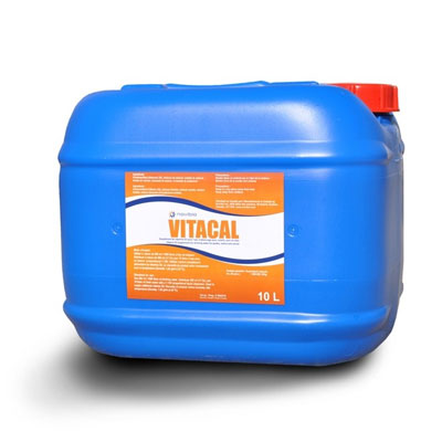 VitaCal